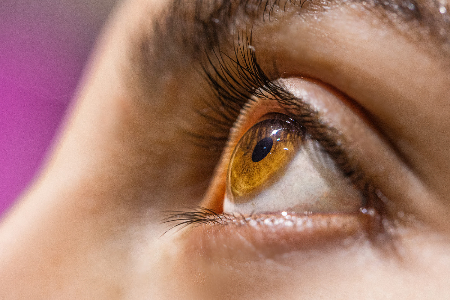 close up of an eye